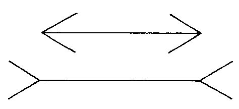 Mueller-Lyer 10kb