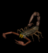 Skorpion 22kb
